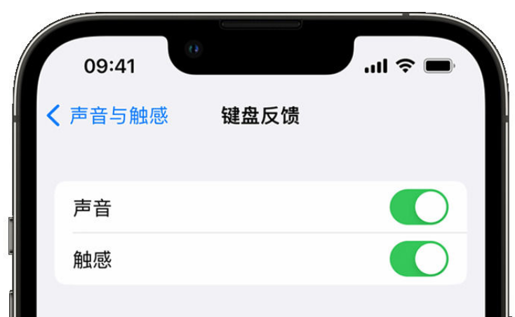 彭州苹果手机维修分享iPhone 14触感键盘使用方法 