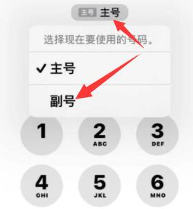 彭州苹果14维修店分享iPhone 14 Pro Max使用副卡打电话的方法 