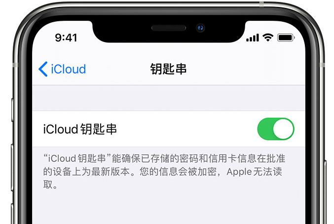 彭州苹果手机维修分享在 iPhone 上开启 iCloud 钥匙串之后会储存哪些信息 