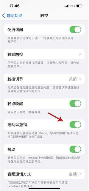 彭州苹果手机维修分享iPhone手机如何设置摇一摇删除文字 